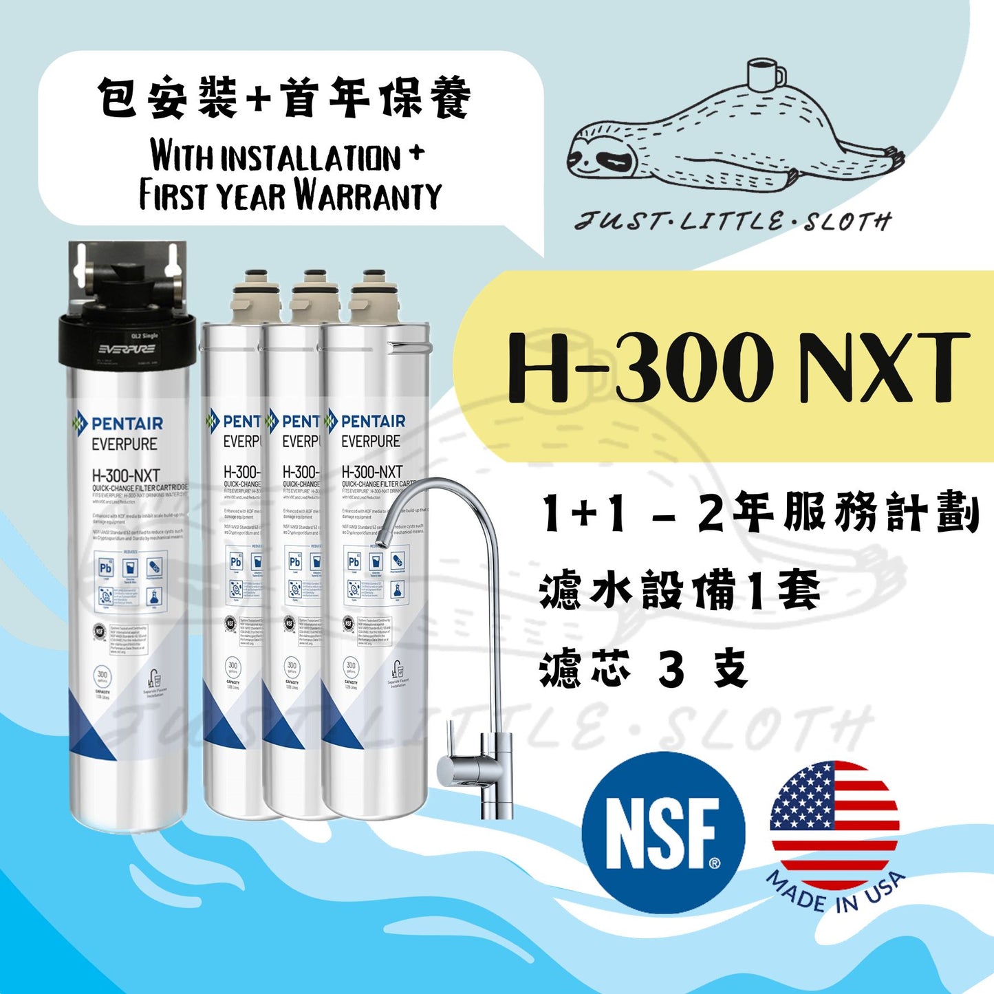 「1+1」Everpure H300NXT 濾水器 2年服務計劃 (Filtration System with on-site installation)