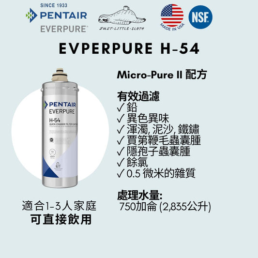 Everpure H-54淨濾芯(連上門換芯服務 Filter Cartridge with on-site installation)