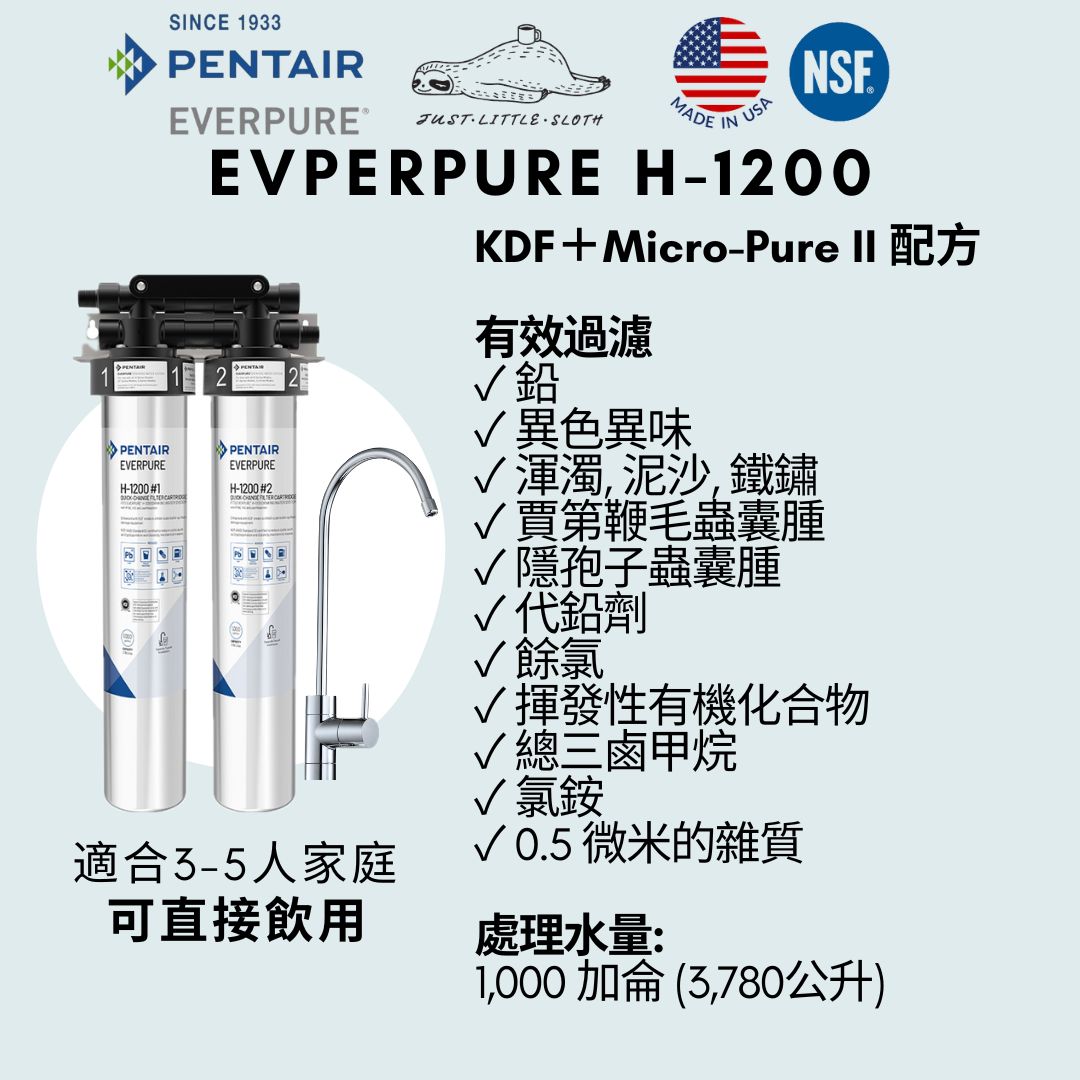 Everpure H-1200 濾水器套裝包上門送貨+標準安裝 (Filtration System with on-site installation)