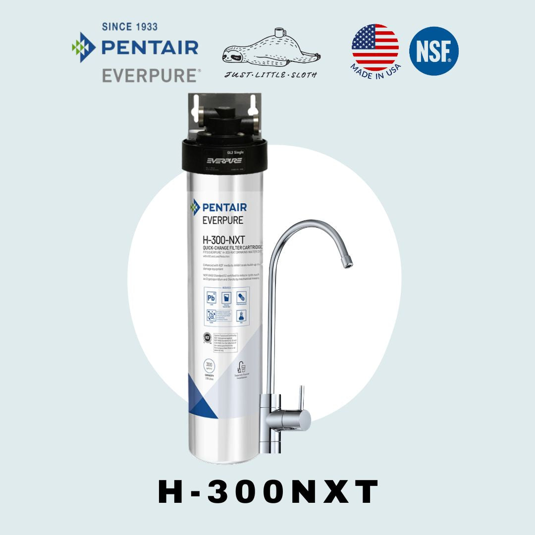 Everpure H-300NXT 醫療級濾水器套裝包上門送貨+標準安裝 (Filtration System with on-site installation)